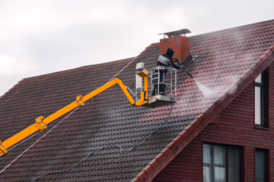 Gloeocapsa Magma Demystified: Why Those Black Streaks on Your Roof Are Destroying Your Shingles