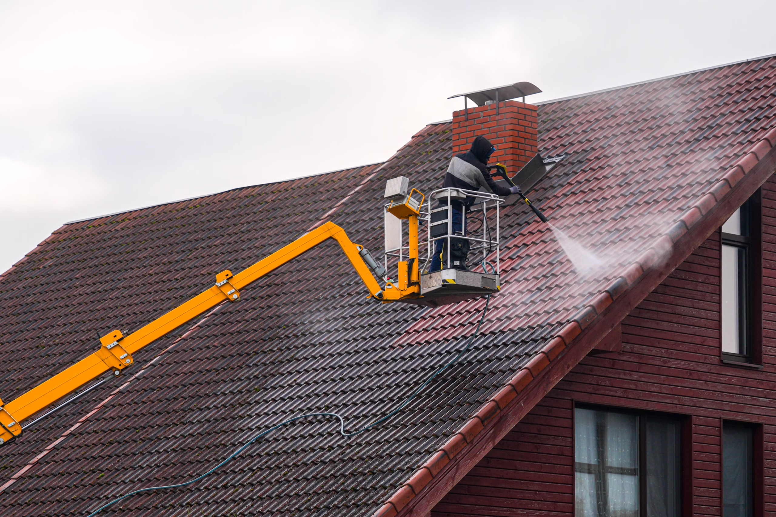 Gloeocapsa Magma Demystified: Why Those Black Streaks on Your Roof Are Destroying Your Shingles